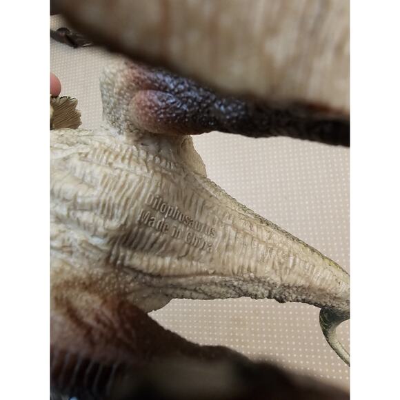 2020 Adventure Force Dilophosaurus Realistic Sturdy Plastic Dinosaur Figure - Picture 4 of 13